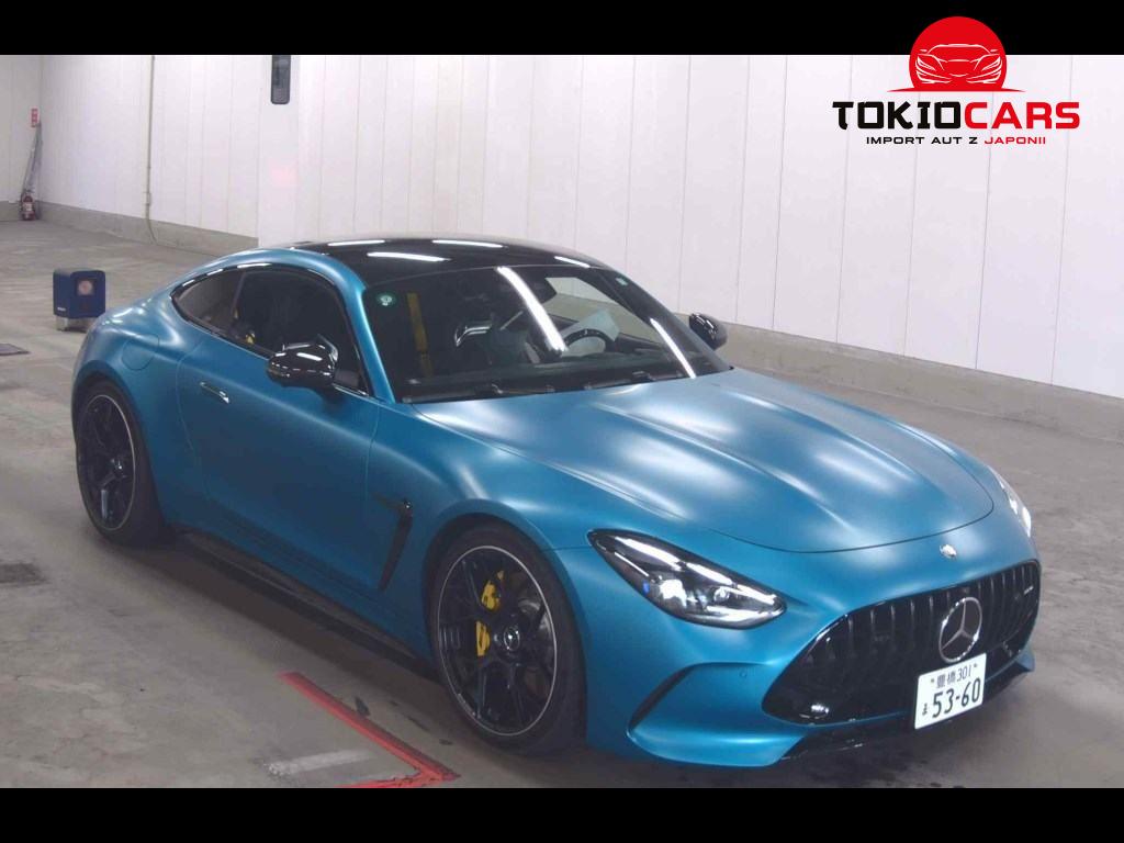 MERCEDES AMG GT 3D 4WD OTHERS