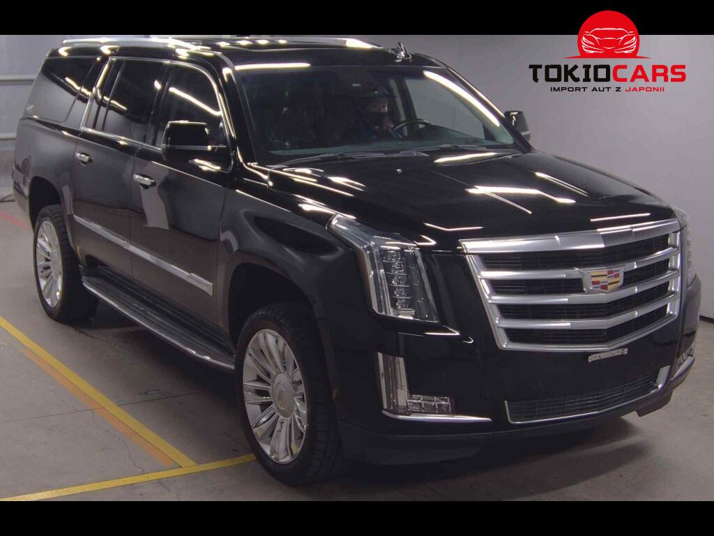 CADILLAC ESCALADE OTHERS