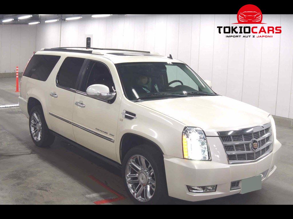 CADILLAC ESCALADE 4WD OTHERS