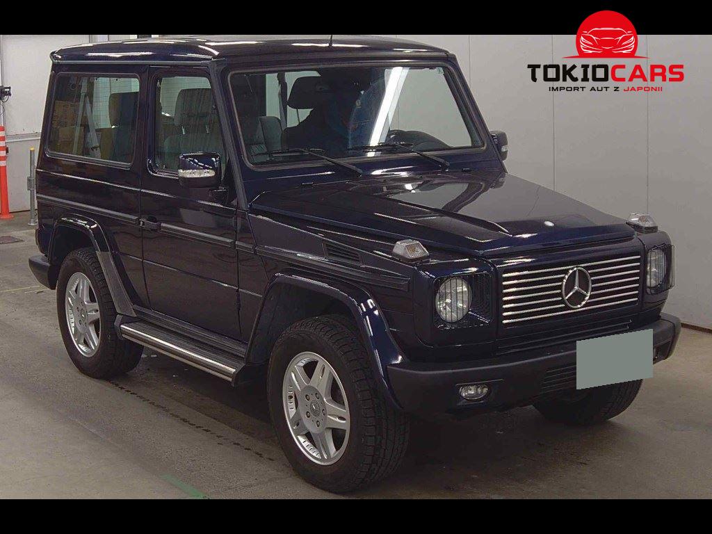 MERCEDES BENZ G-CLASS 3D 4WD G320